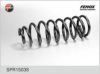 FENOX SPR15038 Coil Spring